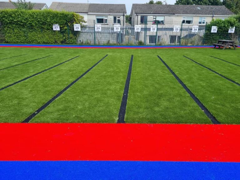 IMAGE - HFCS Dublin - School Playground with SchoolsGrass