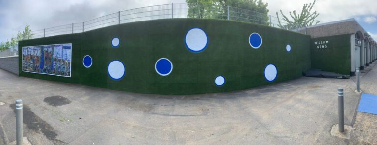 Willow Boys School Artificial Grass Ball Wall
