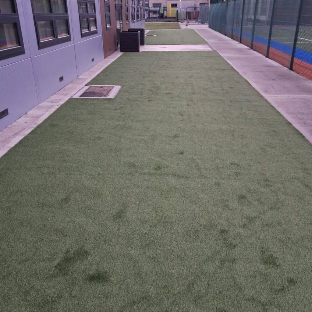 Schools-Grass-Holywell-Swords